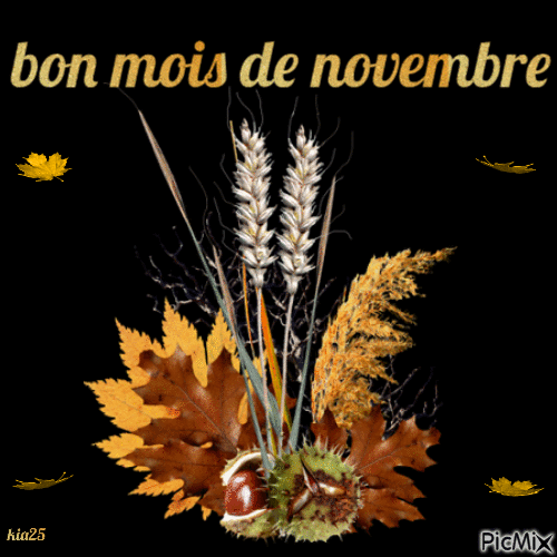 novembre44 - Nemokamas animacinis gif