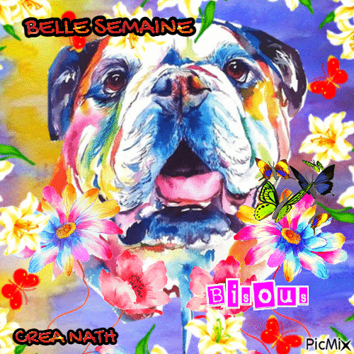 BELLE SEMAINE - 免费动画 GIF