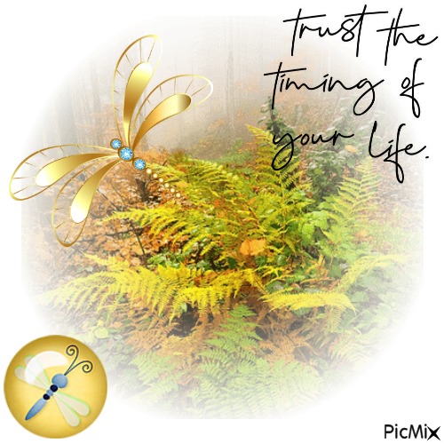 Trust The Timing Of Your Life - png grátis