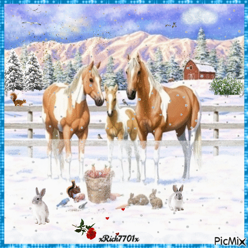 Horses with beauty unsurpassed  7-31-22  by xRick7701x - Gratis animerad GIF