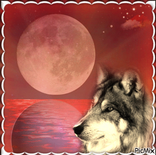 Silhouette de loup et lune rouge ( Silueta de lobo y luna roja) - Darmowy animowany GIF