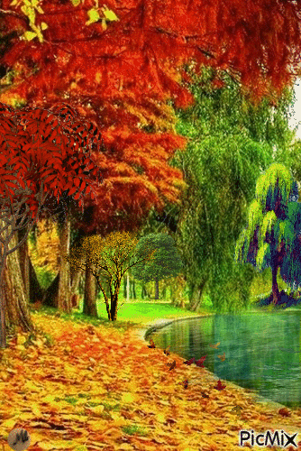 Algunos árboles junto al estanque - Ücretsiz animasyonlu GIF