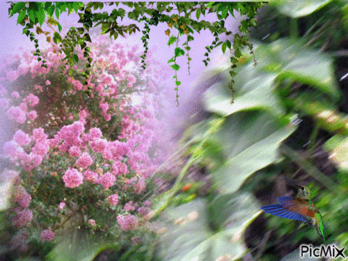 natureza - Безплатен анимиран GIF
