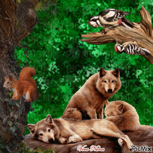 Natureza - Bezmaksas animēts GIF