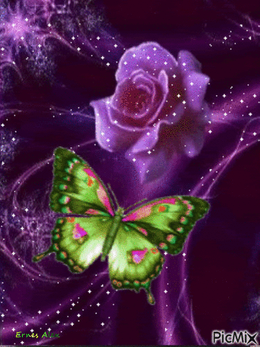 Rosa mariposa - GIF animado grátis