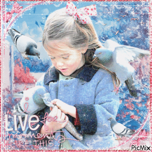 Little girl with pigeons - 無料のアニメーション GIF
