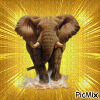 Elephant - PNG gratuit