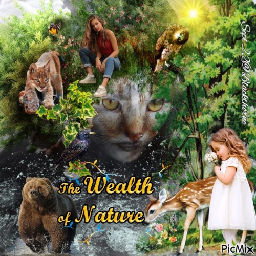 The Wealth of Nature - gratis png