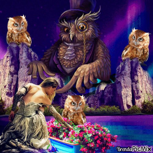 Fantasy owl - GIF animasi gratis
