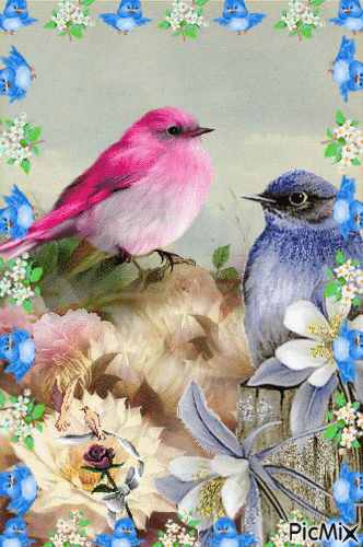 BIRDS, A LARGE BLUE AND PINK BIRD. LITTLE BROWN BIRDS ON A LIMB.A LITTLE BROWN ONE HOPPING AROUND, WHITE AND PINK FLOWERS, LITTLE BLUE BIRDS FRAME. - Gratis animerad GIF