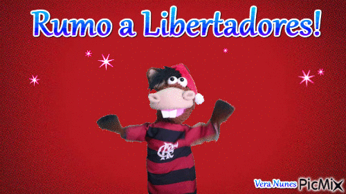 Flamengo - Безплатен анимиран GIF