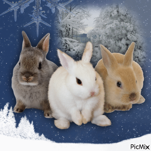 bunny in snow - GIF animado grátis
