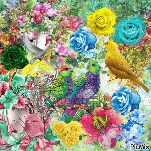Birds and roses - GIF animé gratuit