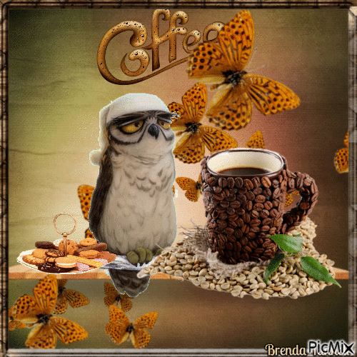 owl - Ingyenes animált GIF