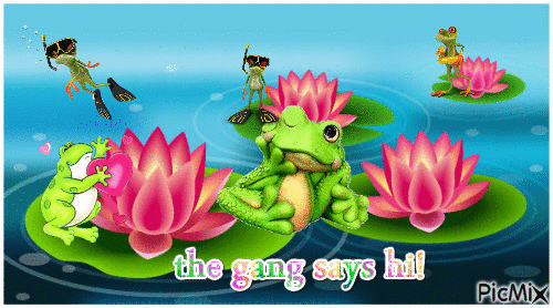 Froggy hello - GIF animate gratis