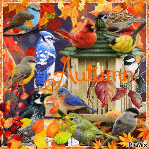 Autumn Birds - GIF animado gratis