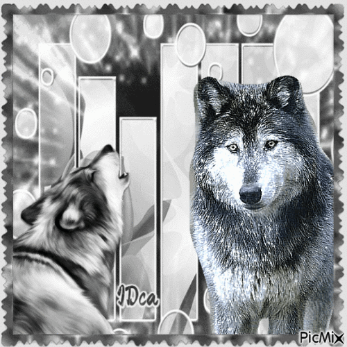 Les loups - 免费动画 GIF
