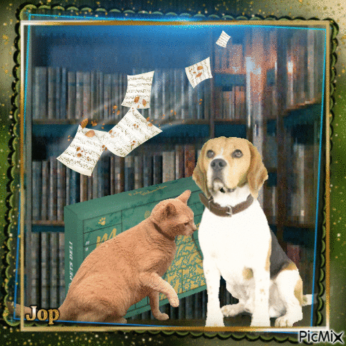 Chien et chat - Free animated GIF