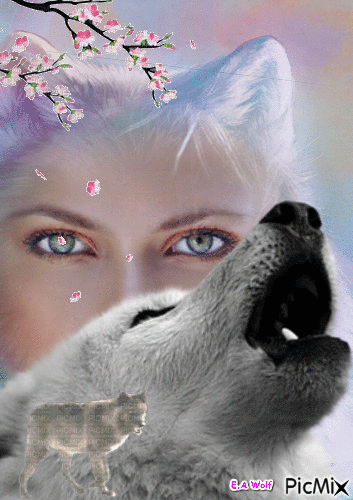 Wolf - Darmowy animowany GIF
