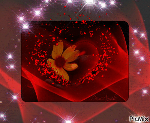 ... From the heart to the heart - Free animated GIF