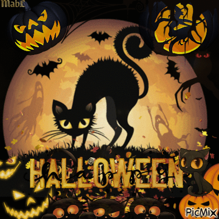Halloween Cat - Ingyenes animált GIF