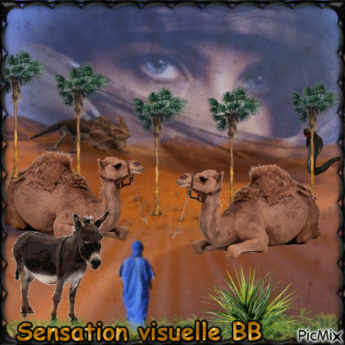 Sensation visuelle BB - Δωρεάν κινούμενο GIF