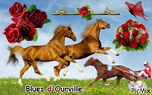 Le champion Blues d'Ourville. - Бесплатный анимированный гифка