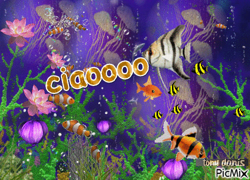 ciaoo - Безплатен анимиран GIF