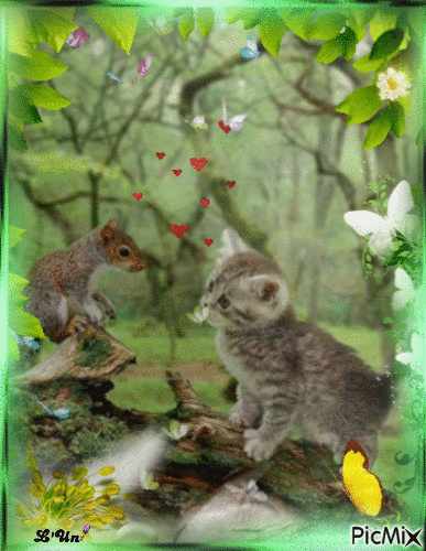 chat et écureuil - Nemokamas animacinis gif