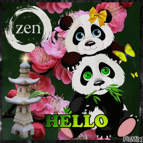 Hello Panda ☯ - GIF animé gratuit