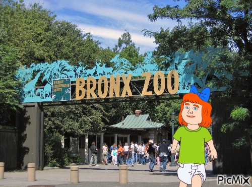 Redhead baby girl at Bronx Zoo - nemokama png