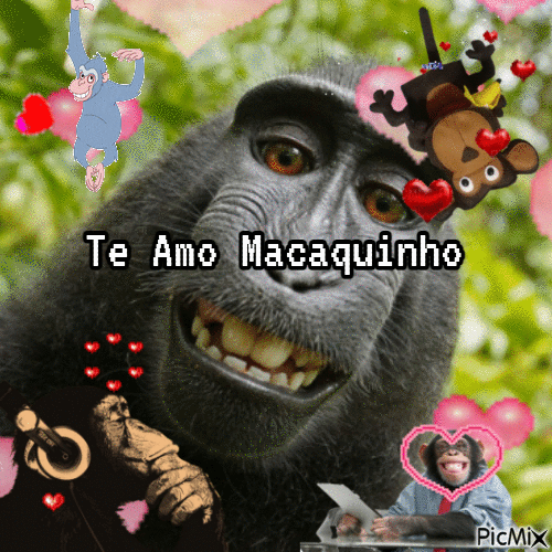 Te Amo Macaquinho - GIF animate gratis