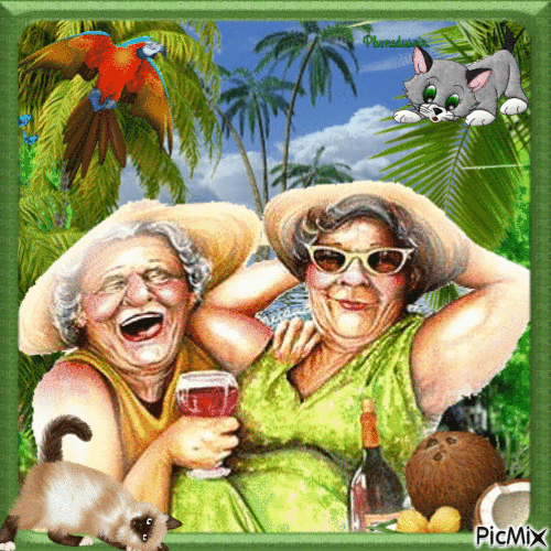 Mamies en vacances dans les îles. - Free animated GIF