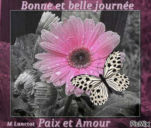 fleur et papillon bonne journee - Бесплатный анимированный гифка