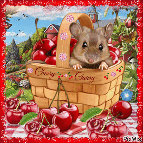 Cherry Mouse - GIF animé gratuit