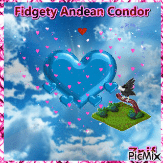 FIDGETY ANDEAN CONDOR - Ücretsiz animasyonlu GIF