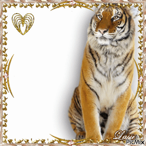 Le tigre ♥♥♥ - Ingyenes animált GIF