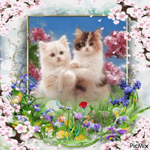 Two cats and flowers - Gratis animerad GIF
