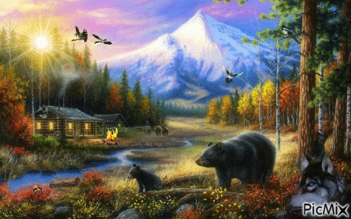 Bear Country - Zdarma animovaný GIF