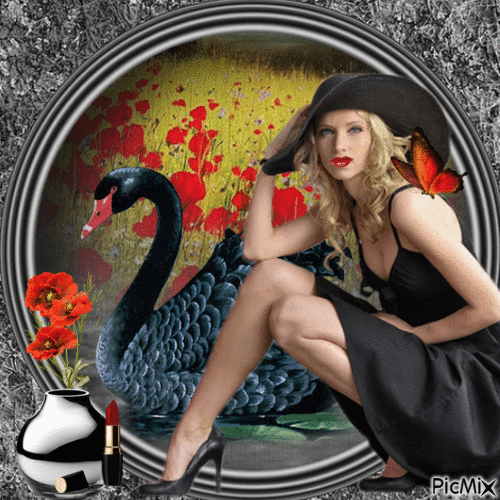 Черный лебедь - GIF animé gratuit