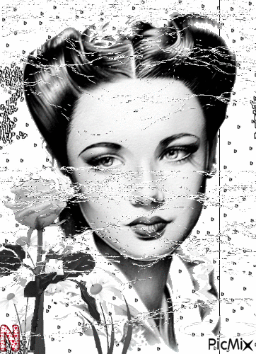 портрет черно белый стиль - Free animated GIF