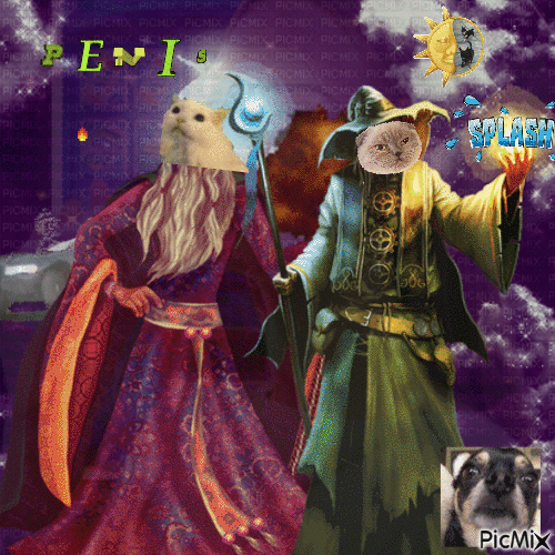 they became epic wizards - Ilmainen animoitu GIF