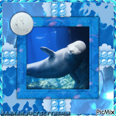 ((♥))Cute Little Happy Beluga Whale((♥)) - Gratis geanimeerde GIF
