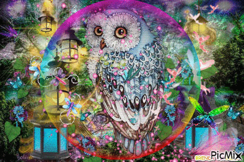 OWL  FAIRYLAND - Darmowy animowany GIF