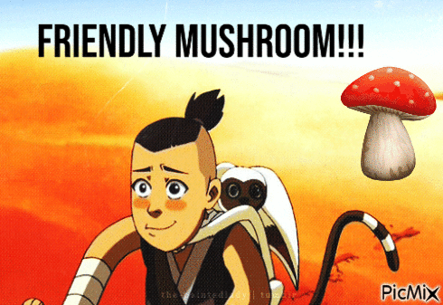 ¨Friendly Mushroom!!!¨- Sokka - 無料のアニメーション GIF