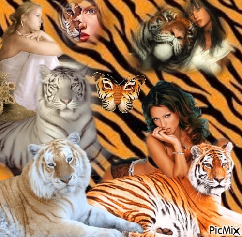 les tigres - 免费PNG