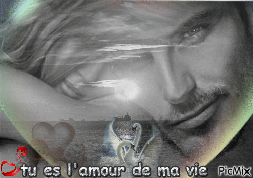 tu es l'amour de ma vie ♥ - Бесплатный анимированный гифка