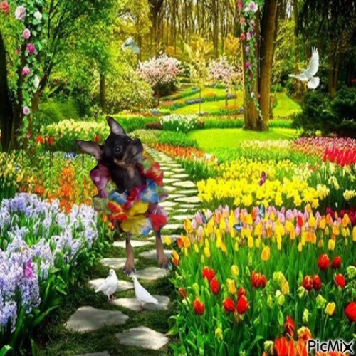 perro con flores - PNG gratuit