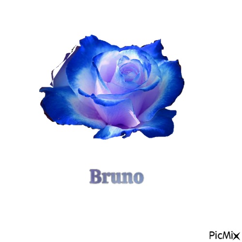 bruno - 免费PNG