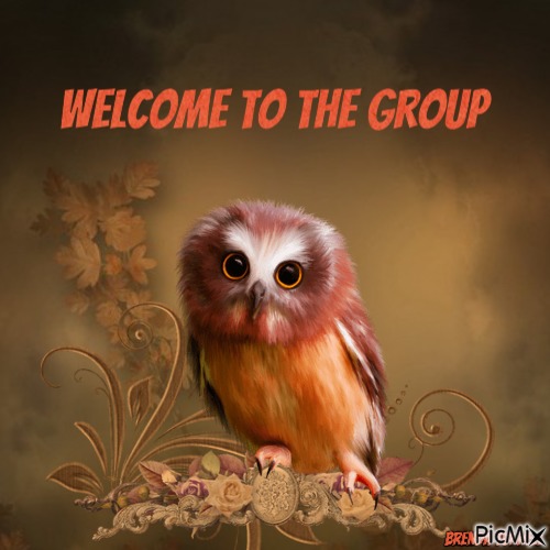 welcome owl - png ฟรี